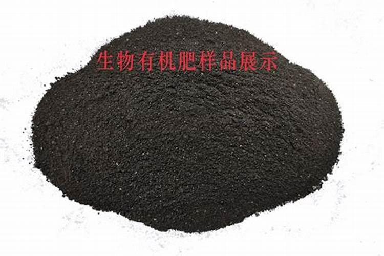 福建茶霞山桩如何保养？