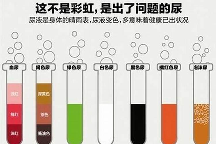 尿液如何发酵不臭？