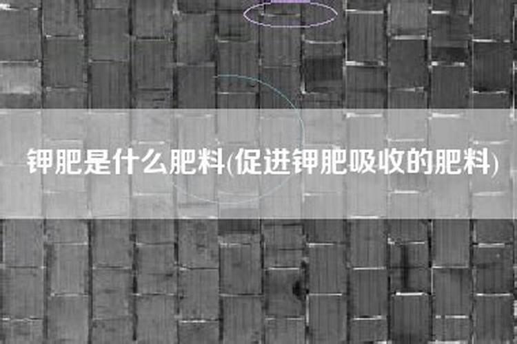 黄瓜钾肥喷多了叶子卷不长怎么办