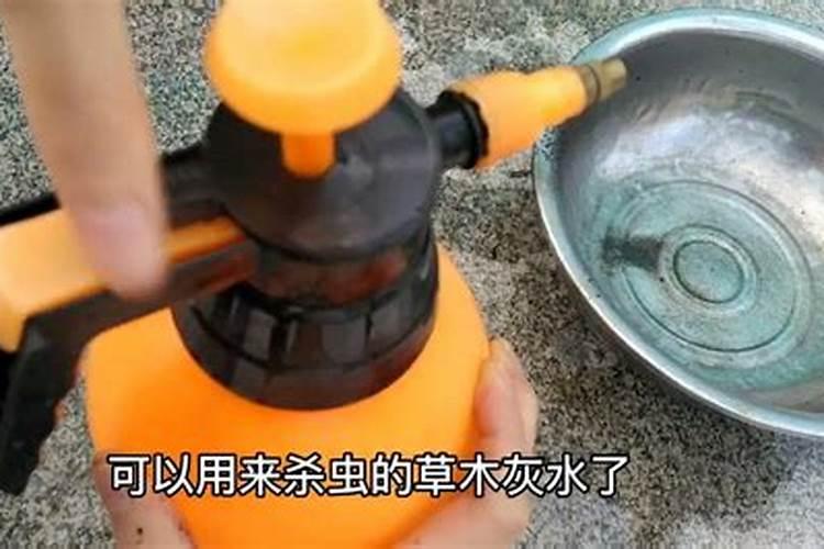 怎么使用草木灰养花 使用草木灰养花的方法