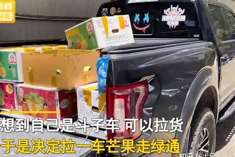 莴苣的栽培技术