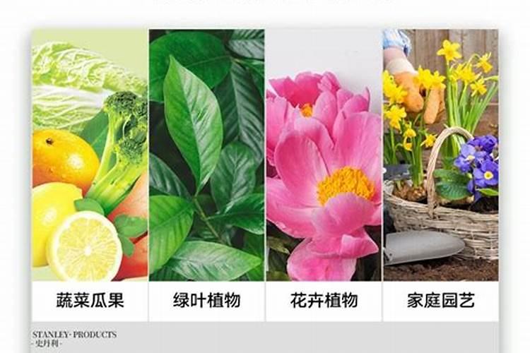 果树叶子发黄了,用什么肥料改善？