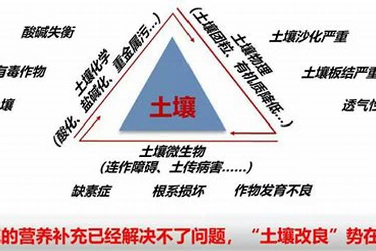 种植土豆最好是施哪种肥料最好？
