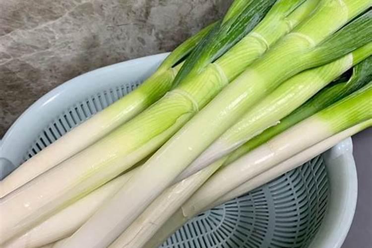 鱼蛋白肥料的功效与作用