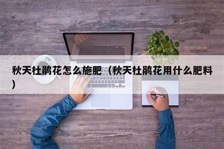 杜鹃花如何施肥、浇水、换土