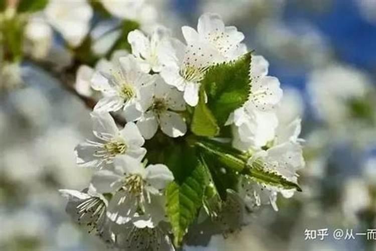 用什么肥料能让农作物快速生根？