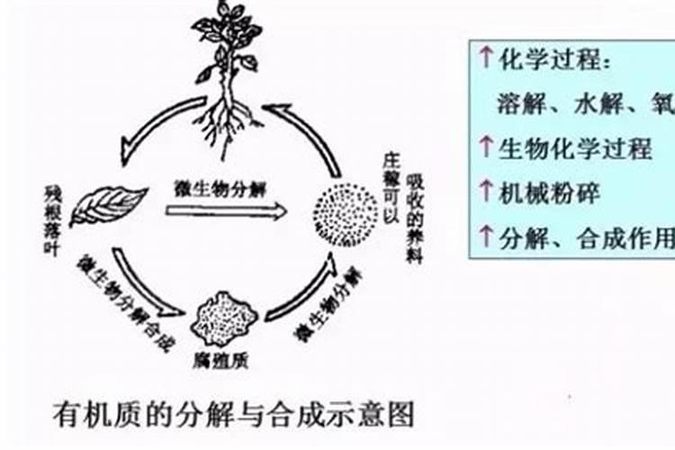 有机质、腐殖质、腐植酸三者,有什么不同？