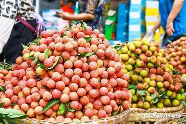 荔枝幼苗用什么肥料好