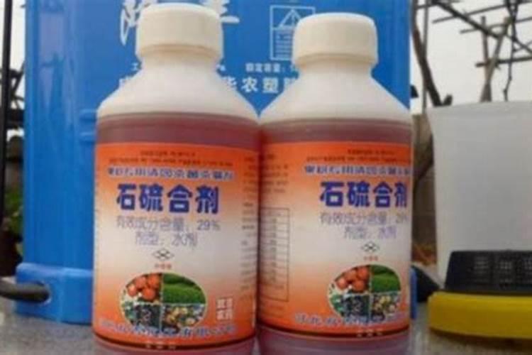月季花可以用磷酸二氢钾肥吗(盆栽月季施什么肥最好)