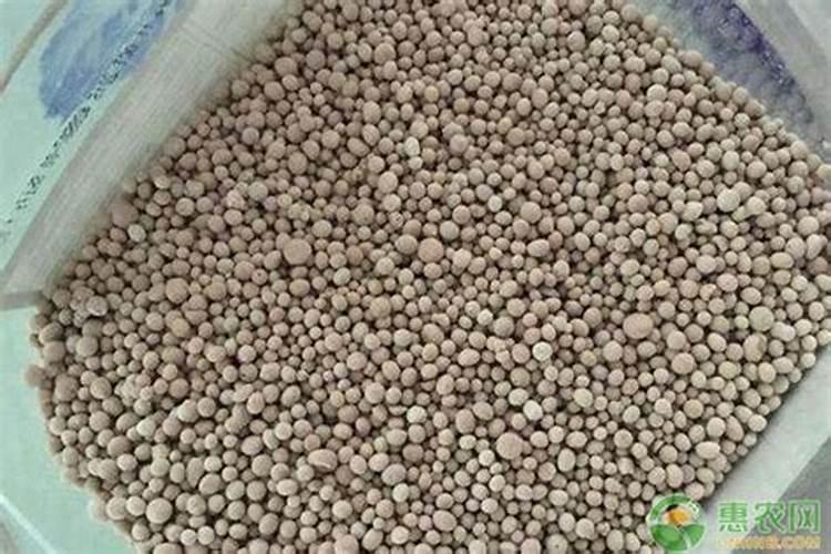 小葱用什么肥料长得快(种小葱需要喷施什么叶面肥)