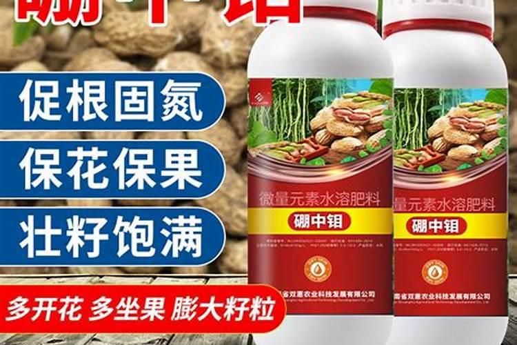 现在市场上主要的叶面肥种类和品牌有什么？
