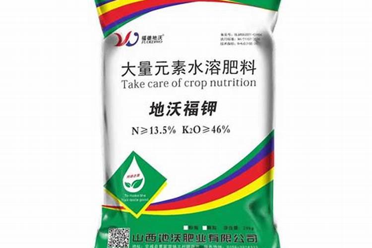苦菊怎么种植 栽种时间和方法