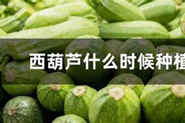 大量元素水溶肥料用法与用量