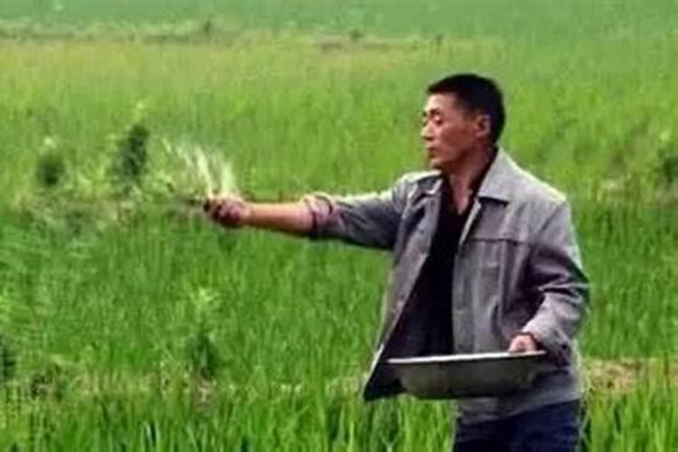 橡胶树施什么钾肥好