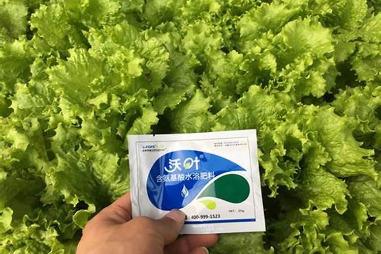 黄腐植酸和腐植酸什么区别呢？