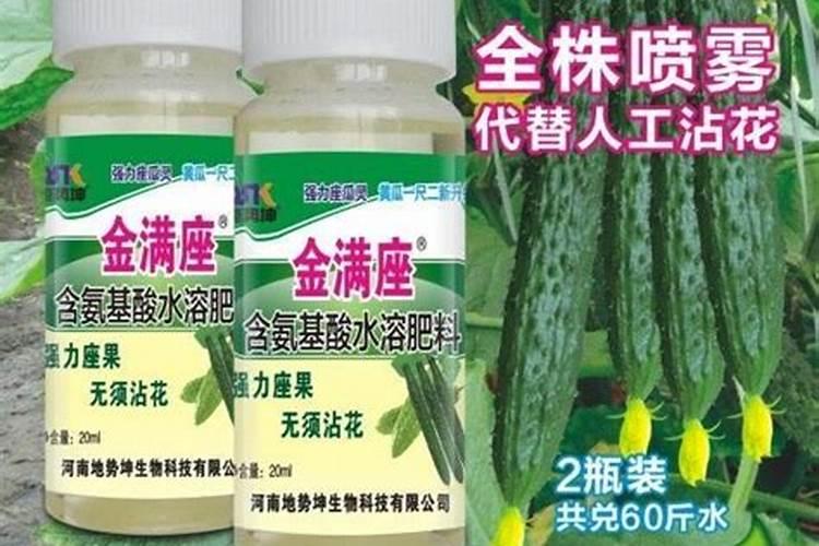 种香瓜用什么肥料最好