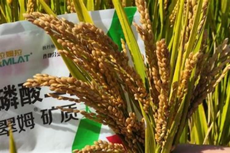 在拼多多买肥料是真的吗？