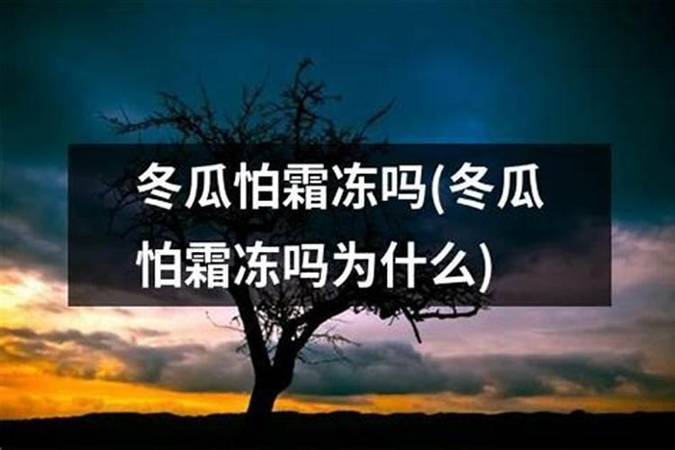 种植的西瓜坐瓜率很低,用什么方法能提高坐果率呢？