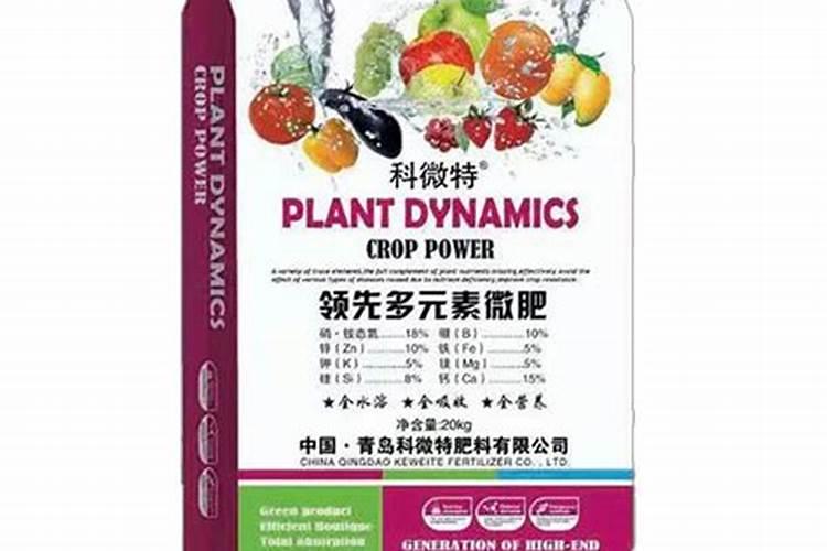 刚种植的黄瓜苗根系不好,用什么肥料根系会长得好点？
