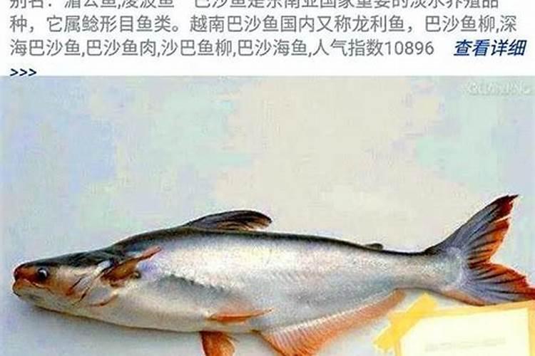 龙丽鱼营养价值