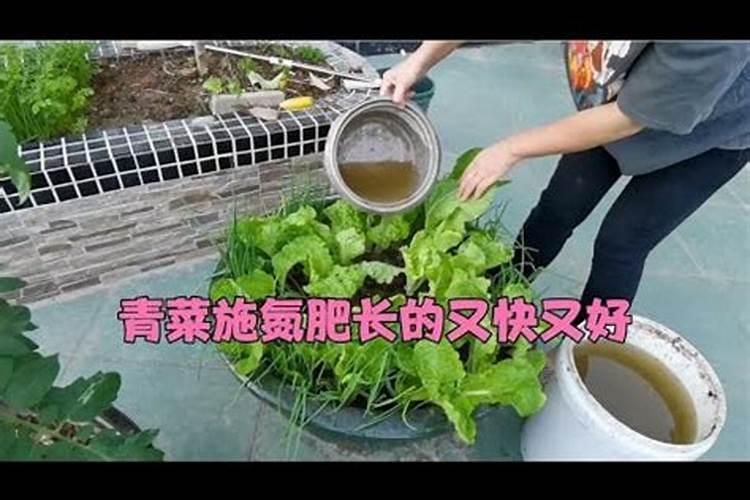 磷铵对蔬菜有什么作用？