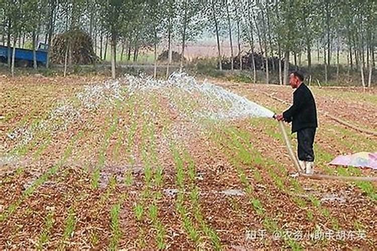 水溶肥料是什么原料做的