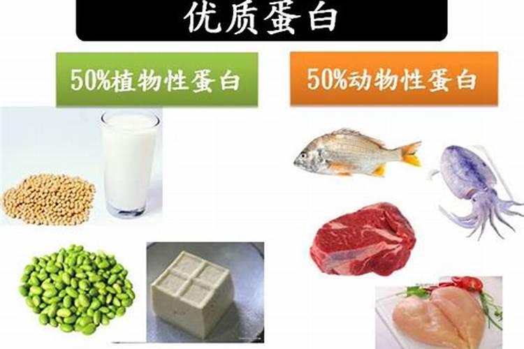 鱼蛋白肥料的功效与作用