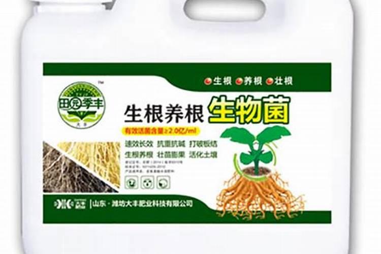 杀虫剂和叶面肥能混合使用吗