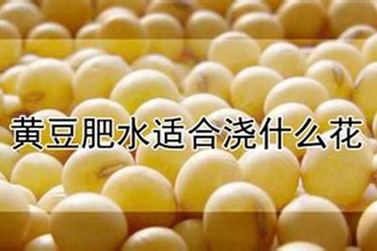 白醋浇花的正确方法 浇花有什么好处