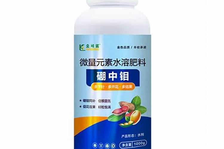 叶面喷施硼肥的最佳时间