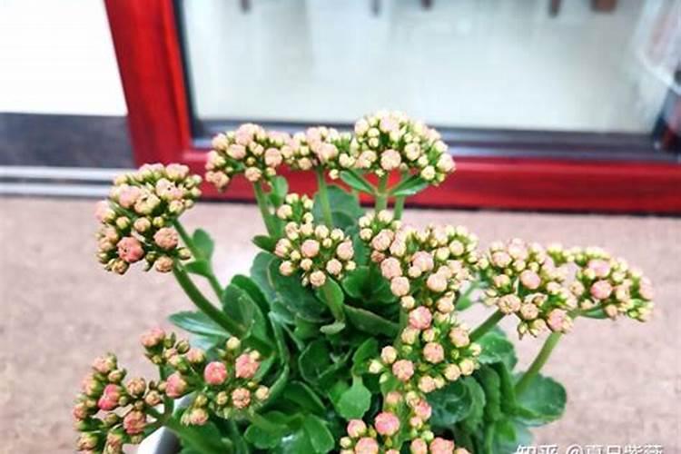 春暖化肥多少钱一袋