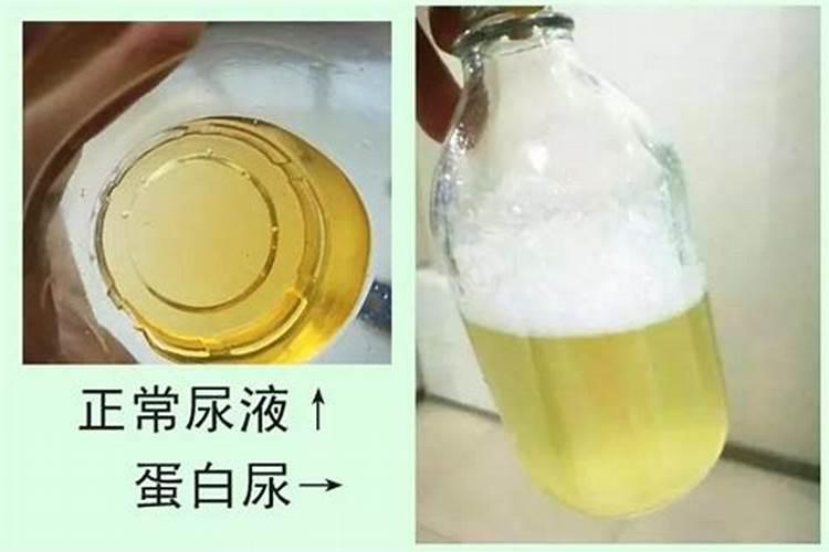 大棚甜椒多久浇一次水