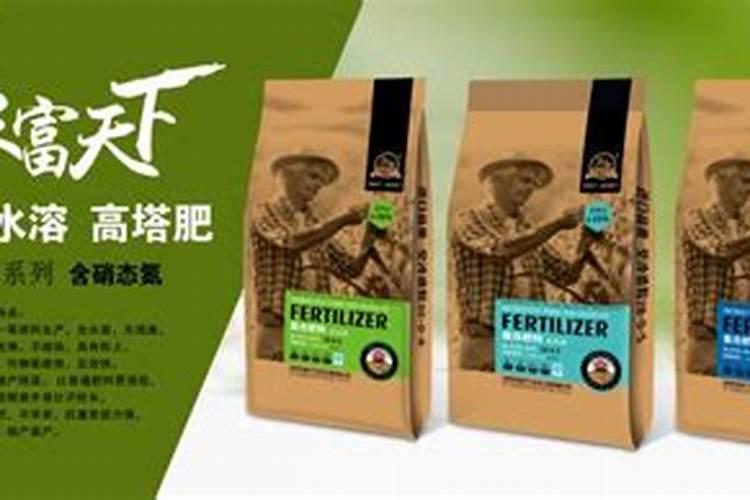 冬天栀子花叶子干枯是什么原因造成的？