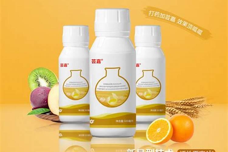 兰花花磊没开就掉是什么原因