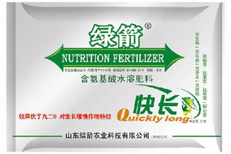 豆子里的豆角能种吗？