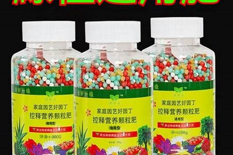 柑橘谢花后施什么肥