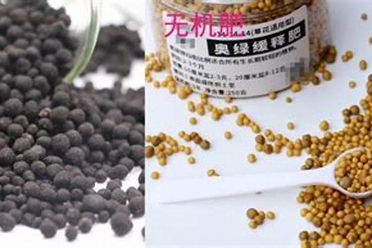 养花用有机肥好还是复合肥好