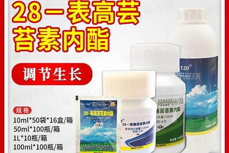 芸苔素内酯对番茄有哪些效果