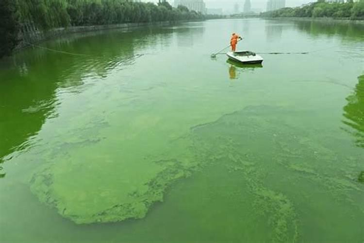 常见的氮肥、磷肥、钾肥、复合肥有哪些……