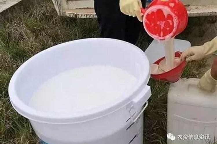葡萄套袋前打什么药