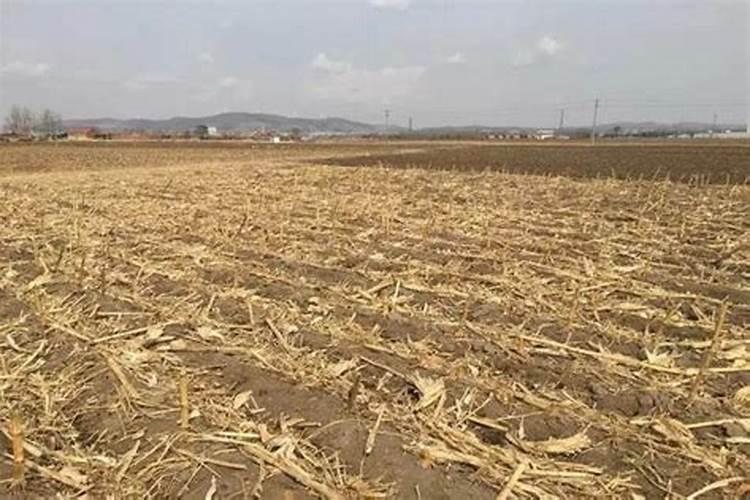 玉米田秸秆还田后,还用施钾肥吗？？？
