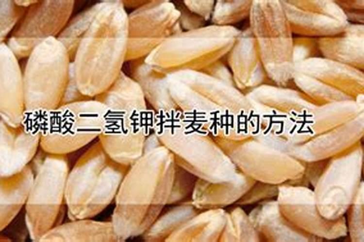 为什么农杆菌侵染不能在光下进行