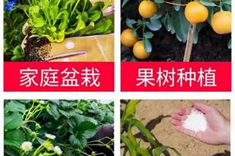 蜂蜜加红糖能去斑吗