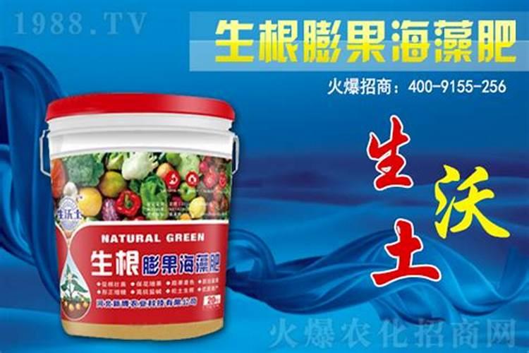 钾肥价格多少钱一吨 如何挑选优质的钾素肥料