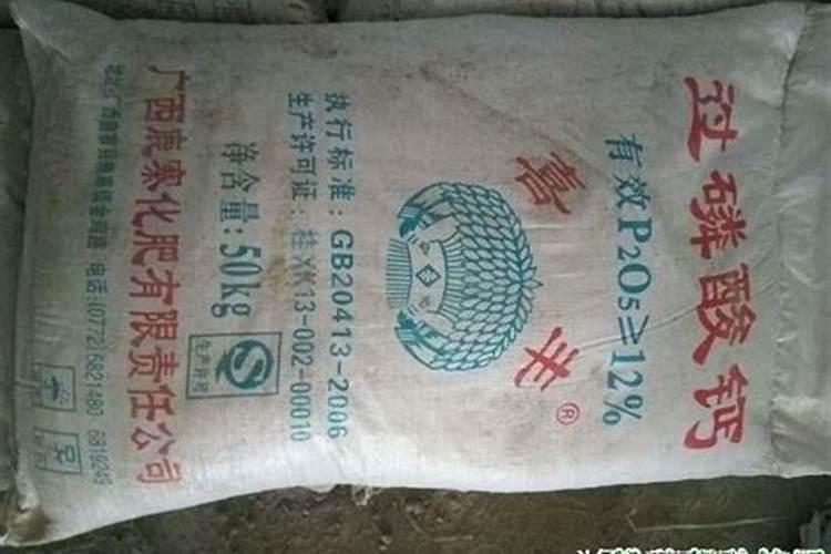 木材怎样处理不变形