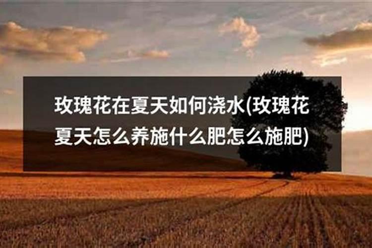 木头上容易生根的植物有那些？具体怎么培育？谢谢!