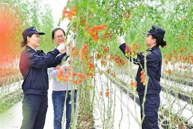[300150世纪瑞尔]守业板钾肥概念股钾肥板块龙头股有哪些
