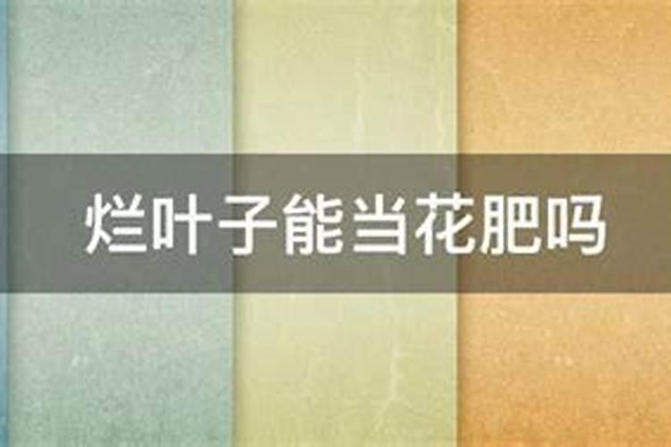 落叶直接埋土里能做肥料吗 树叶埋在地里可以做肥料吗