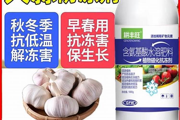 幼秧苗用什么肥料施肥