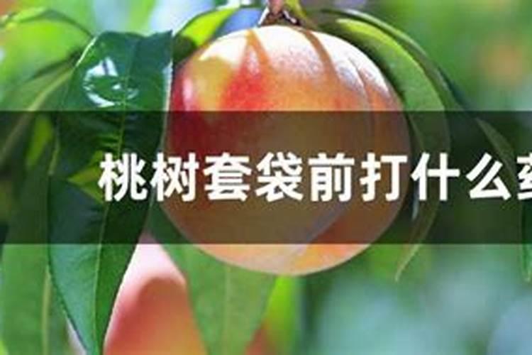 桃树用什么肥料最好